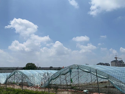 恩拓博高速增氧機上海使用案例！
